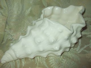   White Conch Shell Planter USA Pottery 12 Large Pretty VVG Condition