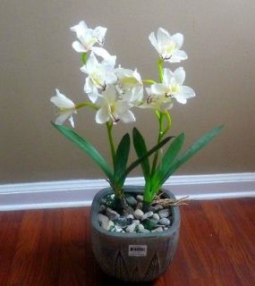   Orchid Artificial Flower Grass silk Flora Home Grande Decor (white