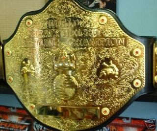 world heavyweight championship belt in Wrestling