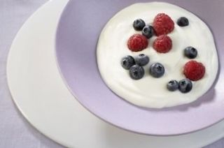 yogurt starter in Health & Beauty