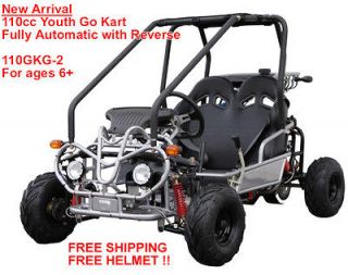   NEW 110cc Youth Go Kart Dune Buggy Automatic +Reverse +HELMET