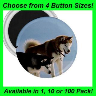 Huskies / Husky Dog   Button/Badge   Fridge Magnet  MM1220