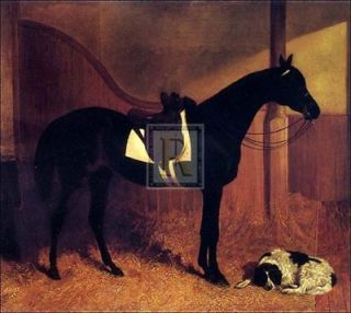 HERRING SNR Askar, Roger horse stable dog PRINT