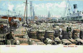   Louisiana LA 1905 Cotton Bales Wharf Wagons Ships Vintage Postcard