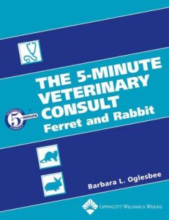   Ferret and Rabbit by Barbara L. Oglesbee 2006, Hardcover