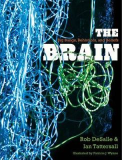 The Brain Big Bangs, Behaviors, and Beliefs by Ian Tattersall, Rob 