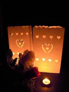 20 LED Battery Candles & 20 White Hearts Candle Bag Lantern Wedding 