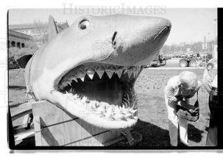 1988 35mm Negs Shark model from Jaws at Museum SI  43