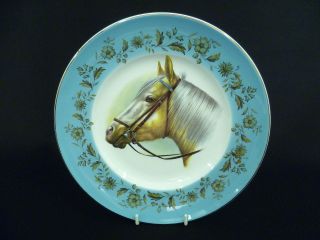 BROADHURST HORSE 22cm PLATE (B)