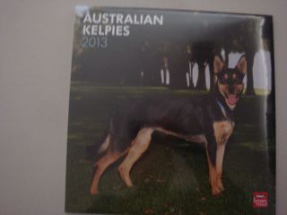 AUSTRALIAN KELPIES DOG BREED SQUARE WALL 2013 CALENDAR, BROWNTROUT