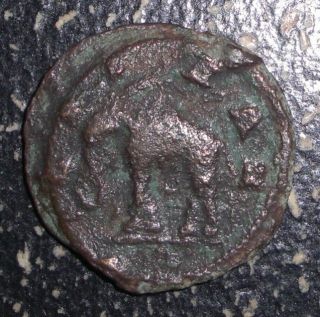 Ancient Roman   Caracalla. 198   217 AD. Serdica, Thrace. Elephant 