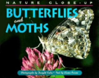Butterflies and Moths by Elaine Pascoe 1996, Hardcover
