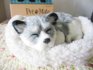 Pet Mate Sleeping Breathing Alaskan Husky Dog w/bed