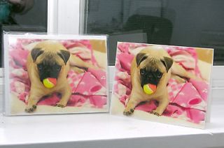 Pug Puppy Blank Photo Note Cards Animal Rescue