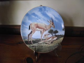 Plate W S George China SLENDER HORNED GAZELLE W Nelson