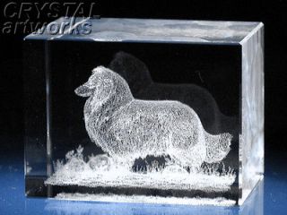 SHETLAND SHEEPDOG   SHELTIE* 3D Laser Crystal Art 59s