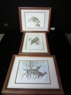 Loates, SET OF 3, Wildlife Prints, Deer, Owl, Snow Leopard 