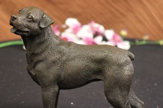 SIGNED MOIGNIEZ YOUNG ROTTWEILER DOG BRONZE SCULPTURE ANIMAL STATUE 