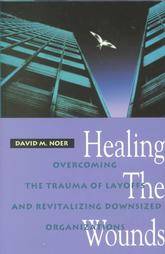   Downsized Organizations by David M. Noer 1993, Hardcover