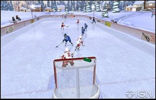 NHL Slapshot Game Hockey Stick Wii, 2010