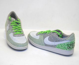 Nike Mens/Womens Terminator Low Premium Basketball Gray/Green Men 9 