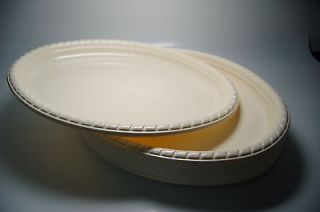 disposable plastic plates in Business & Industrial
