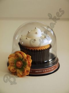 20 DOME CUPCAKE CAKE SHOWER PARTY FAVOR BOX CONTAINER