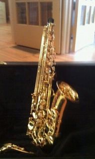 alto saxophone cases in Saxophone