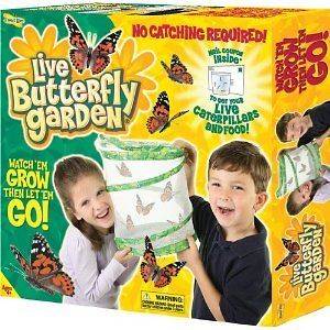Kids Childs Insect Lore Live Butterfly Garden Caterpillar 