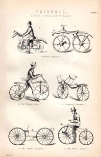 1880 PRINT ~ BICYCLES PRIMITIVE DANDY HORSE GOMPERTZS VELOCIPEDE BONE 