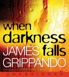 When Darkness Falls by James Grippando 2007, CD, Unabridged