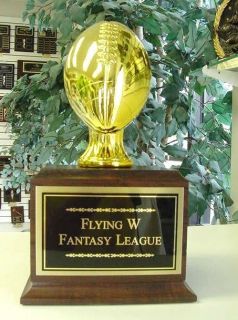 FANTASY FOOTBALL PERPETUAL TROPHY 16 YEARS GOLD NEW!