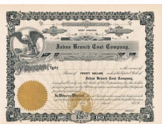 Johns Branch Coal Company Stock Certificate  unissued  West Virginia