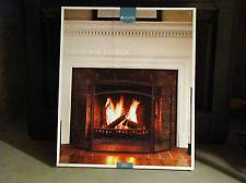 fireplace screen in Fireplace Screens & Doors