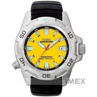 Timex Mens Watch T49621: Watches: 