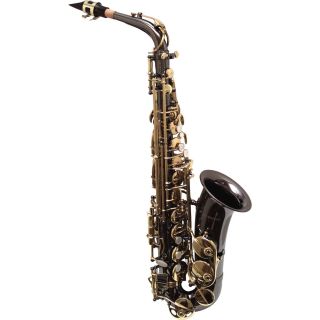 Vienna by Woodwind WWAS Black Nickel Intermediate Alto Saxophone 