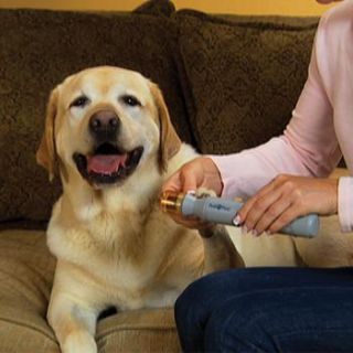 Pedipaws Pet Nail Trimmer Available Online from  