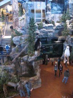 Rocky View , AB (Calgary) Sporting Goods & Outdoor Stores  Bass Pro 