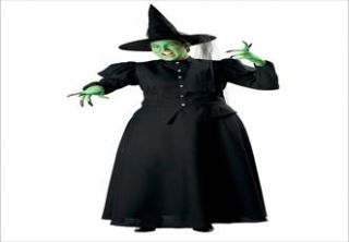 Plus Size Wicked Witch Plus Size Adult Halloween Costume  Plus Size 