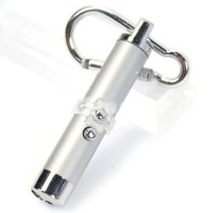 in 1 5mW 650nm Red Laser Pointer Flashlight Keychain Silver (3*LR44 