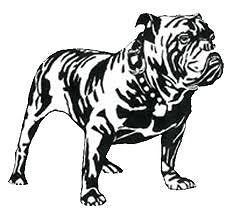   Dog Wall Art Sticker Decal Pet Owner Breeder Kennel UK Present Gift