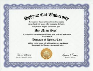 SPHYNX CAT DIPLOMA  FELINE LOVER/OWNER  FUN GAG GIFT