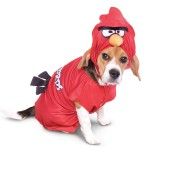 Dog Costumes  Halloween Pet Costumes for Dogs   BuyCostumes 