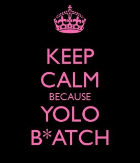KEEP CALM BECAUSE YOLO BIATCH Funny Humor Tshirt All Sizes and Colors