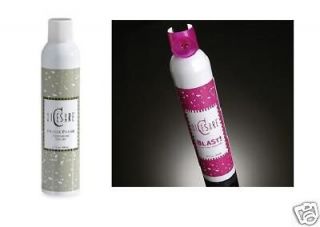Michael diCesare Blast and Freeze Frame Hair Spray DUO