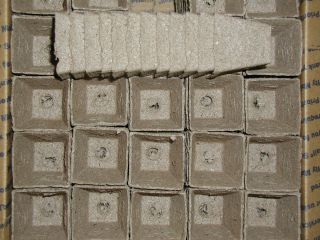   SQUARE JIFFY PEAT POTS for SEED STARTING/GREENHOUSE SUPPLIES