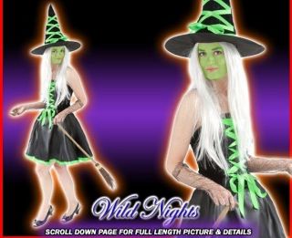   Ladies Green Classic Witch Halloween Fancy Dress Costume All Sizes