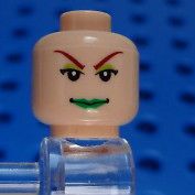 LEGO Light Flesh Minifig Head Batman Poison Ivy Seriously Mean Look 