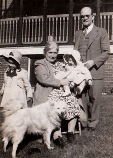   Samoyed American Eskimo GErman Spitz Husky dog w baby and family