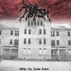 Suicidal Nihilism   Within the Insane Asylum CD 2011 depressive black 